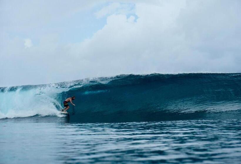 호스텔 Pondok Oma For Solo Traveller