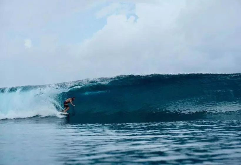 Retkeilymaja Pondok Oma For Solo Traveller