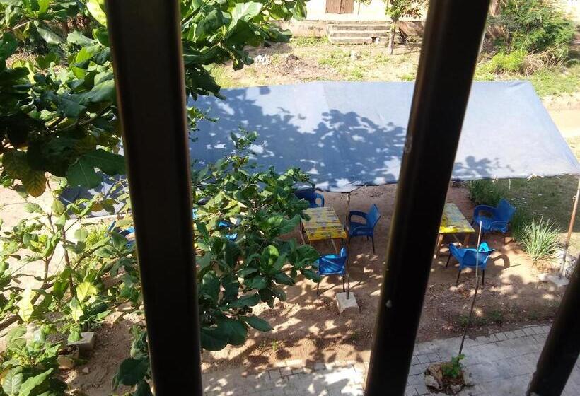 هتل کپسول Tk D Or