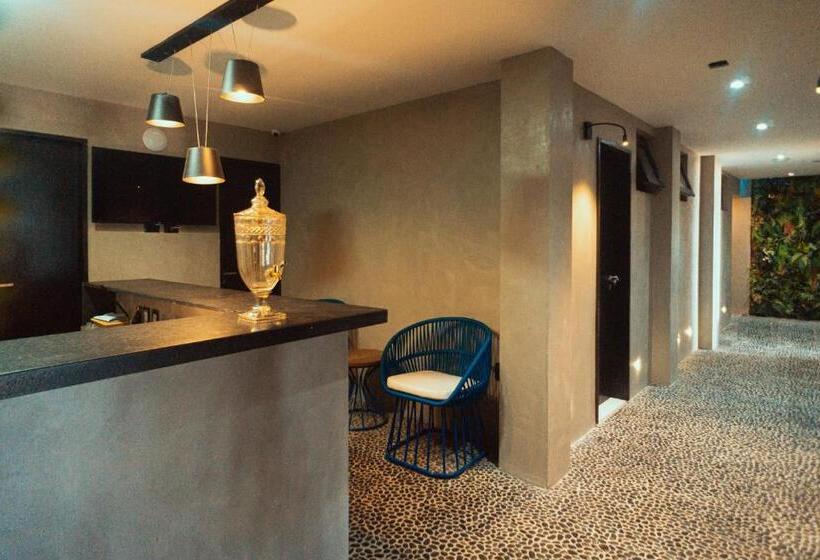 ホテル Marilyn Pousada