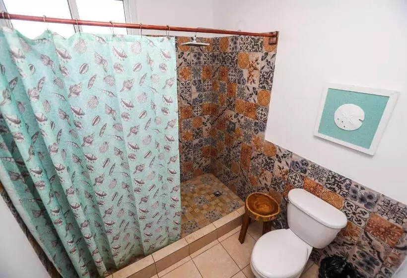 پانسیون Casa Apolonia