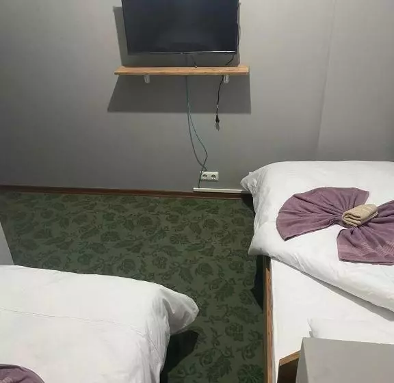 Samsun Otel Vidinli