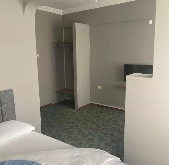 Samsun Otel Vidinli