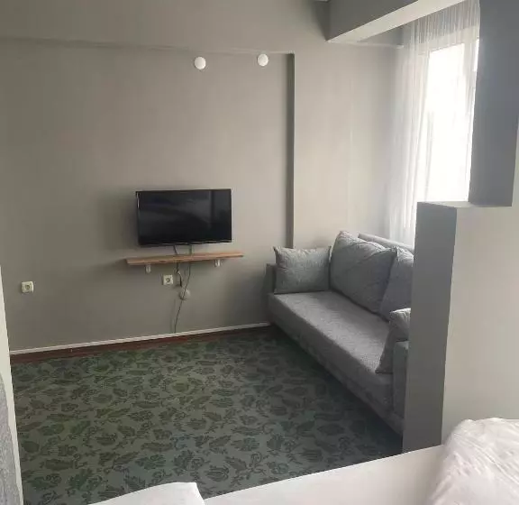 Samsun Otel Vidinli