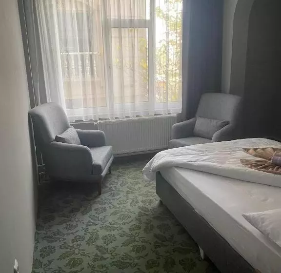 Samsun Otel Vidinli