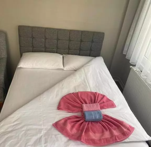Samsun Otel Vidinli