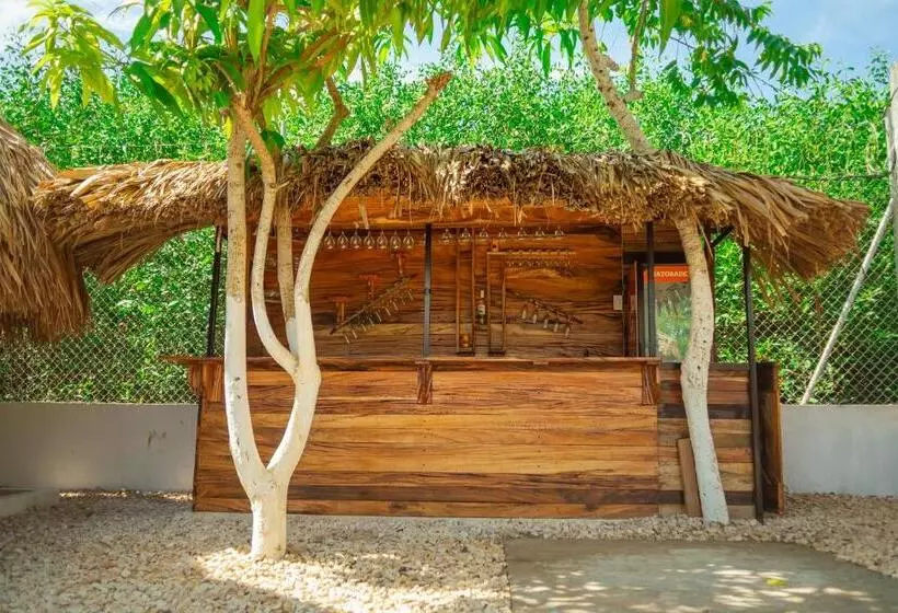 ホテル Punta Piedra