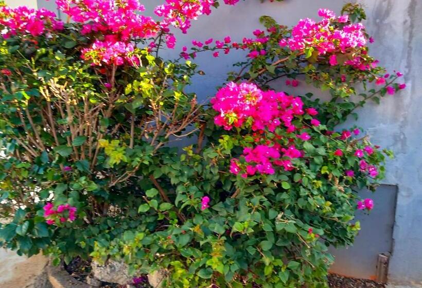 پانسیون R Garden Studio 2 Moderne Pour Couple Dans Un Cadre Relaxant Et Confortable