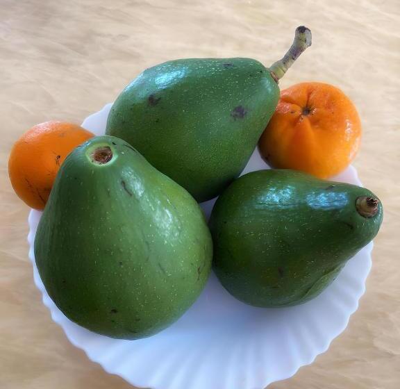 پانسیون R Garden Studio 2 Moderne Pour Couple Dans Un Cadre Relaxant Et Confortable