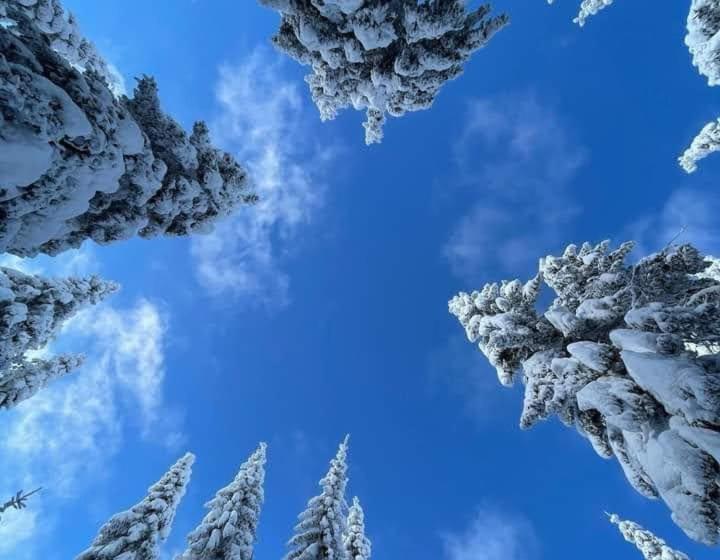 Ski Hotel Dobrodolac