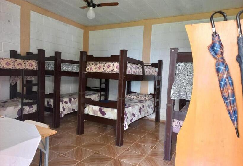 הוסטל Comunidade Anuncia Me