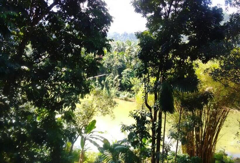 Bed and Breakfast Rafting