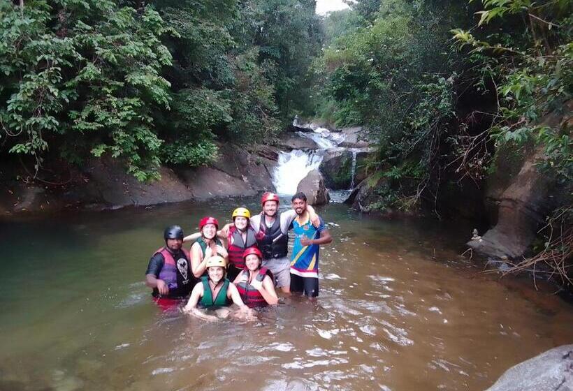 Bed and Breakfast Rafting