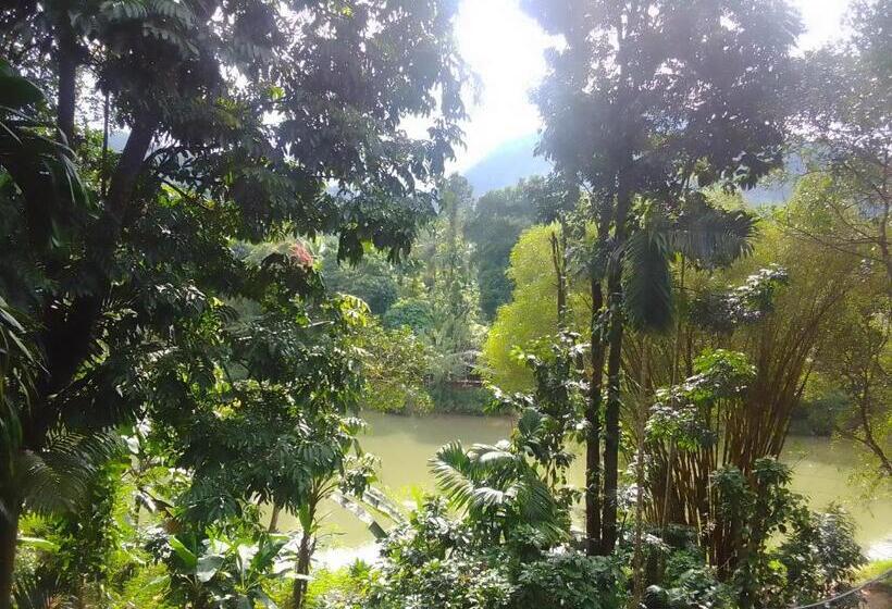 Bed and Breakfast Rafting