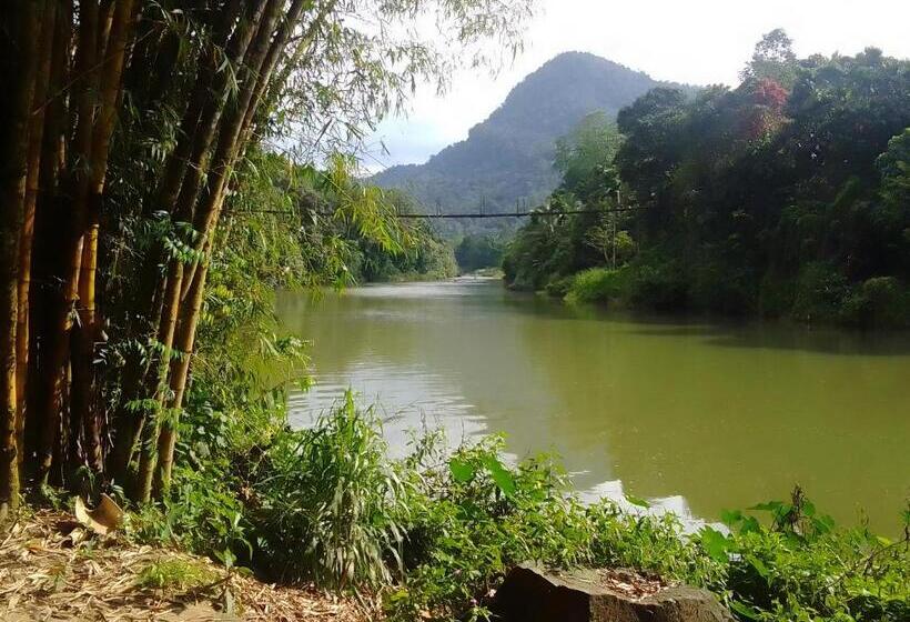 Bed and Breakfast Rafting