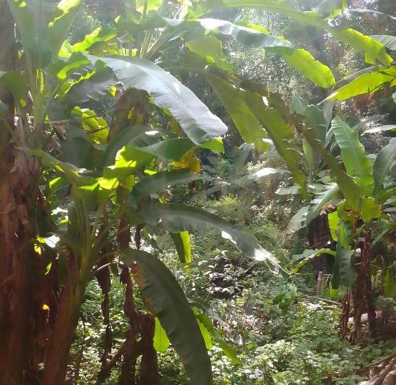 Bed and Breakfast Rafting