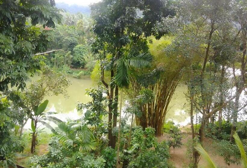 Bed and Breakfast Rafting