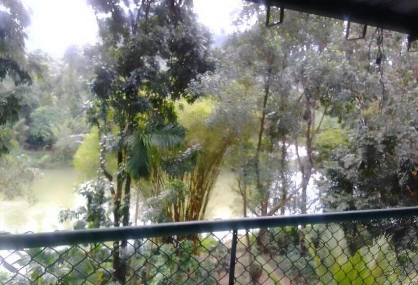 Bed and Breakfast Rafting