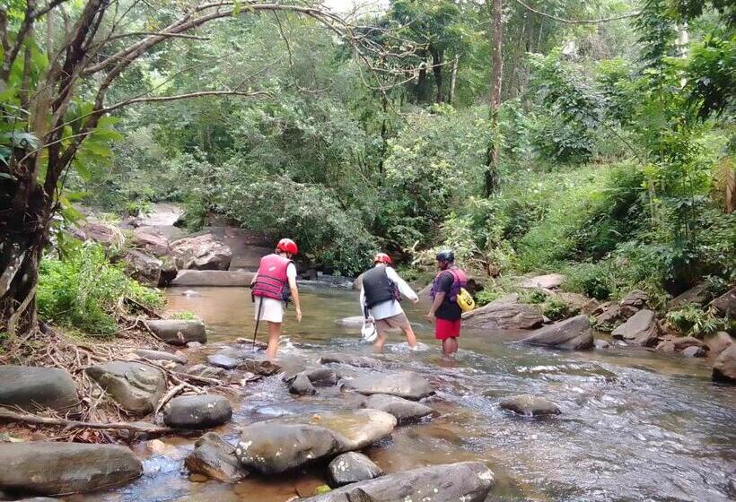 Bed and Breakfast Rafting