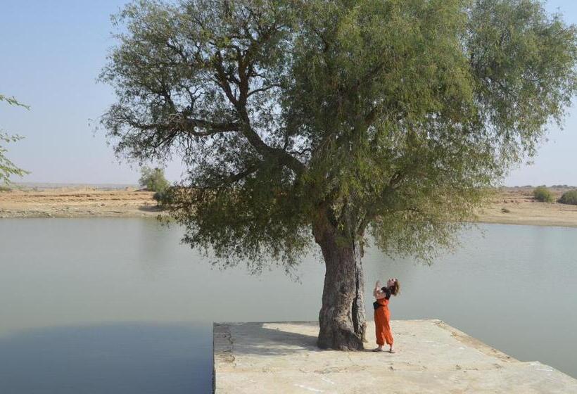 הוסטל Desert Cow Guesthouse And Safari