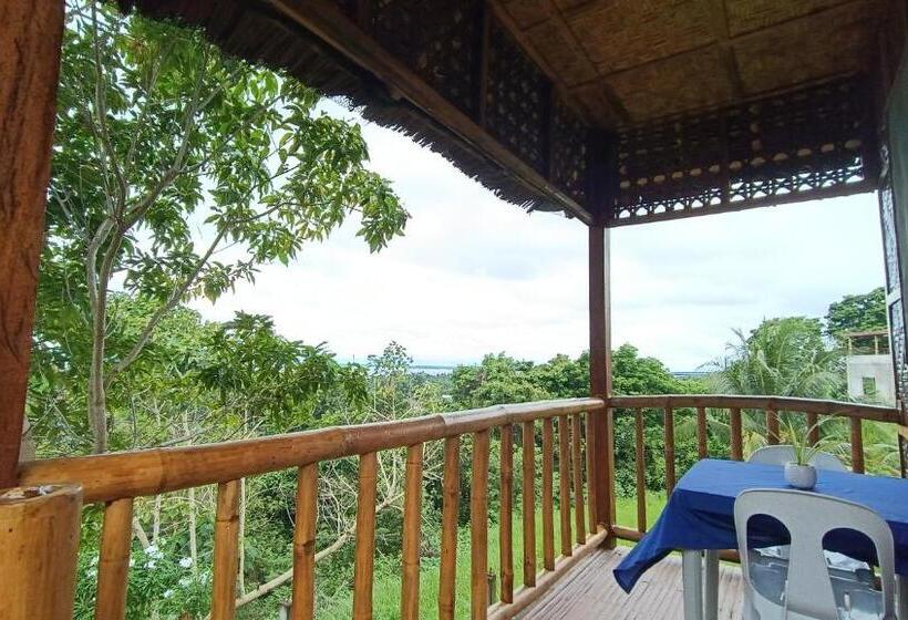 Bed and Breakfast Loony Cafe