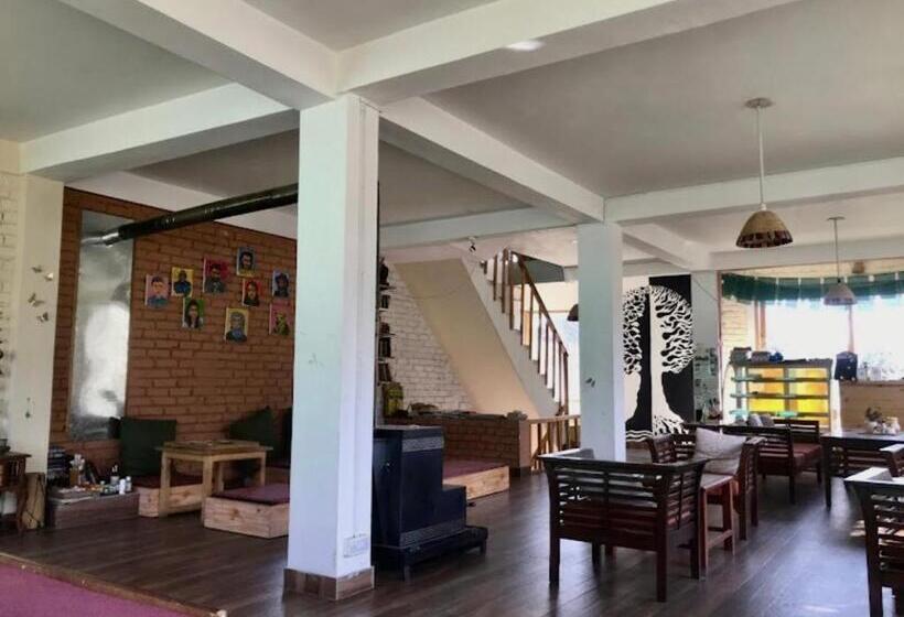 Bed and Breakfast Manzil Cafe & Stay