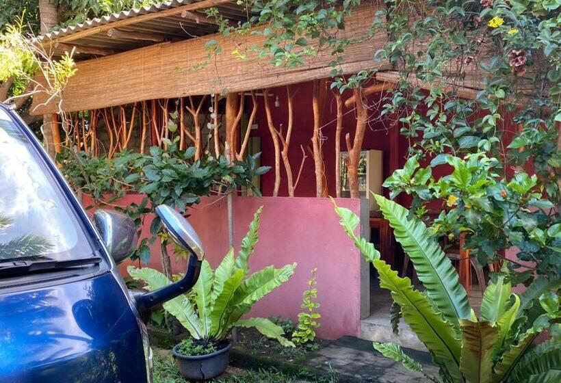 Отель Kandula  National Park View