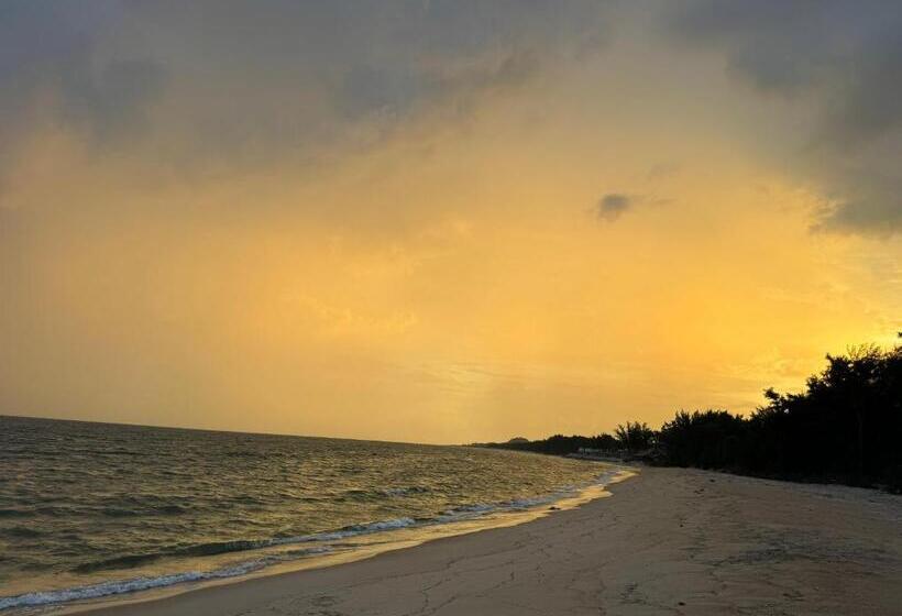 هتل Troco Beach Resort & Camping