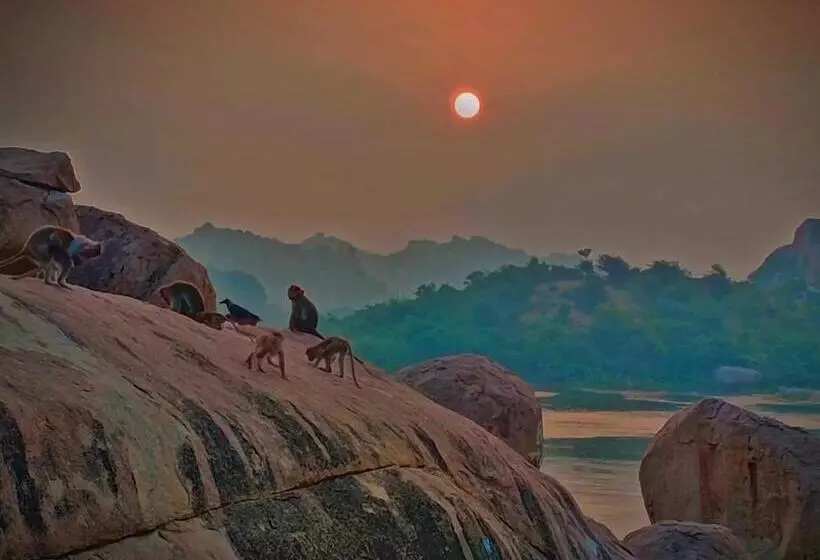 ペンション Hampi Island