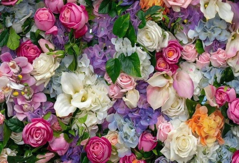 Pensão Happy Cozy Convenient 4br, Breezy, Near Mall, Park