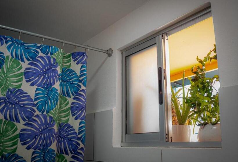 پانسیون Lolas Hostal  Baño Compartido