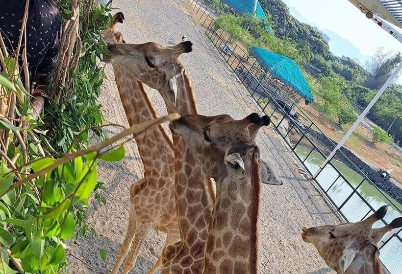 Safari Hotel And Villas Vigan City Ilocos Sur