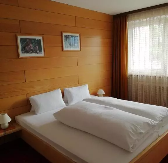 ホテル Appartement Winkler