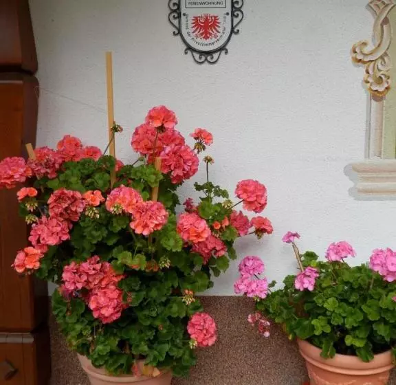 ホテル Haus Seebach
