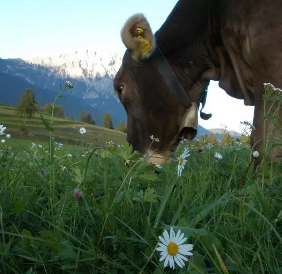 هتل Pension Bauernhof Spielmann