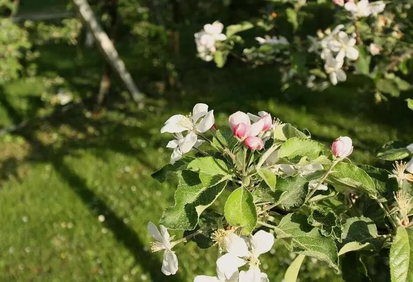 هتل Pension Bauernhof Spielmann