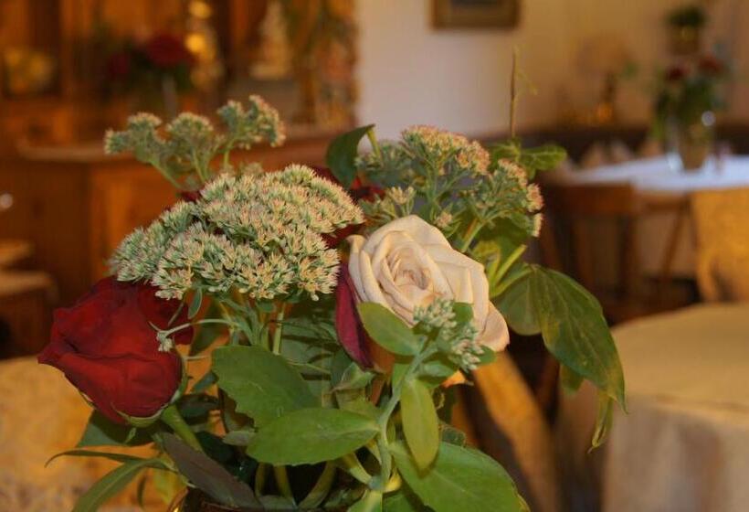 Отель Pension Hartenfels