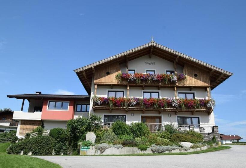فندق Sieglhof