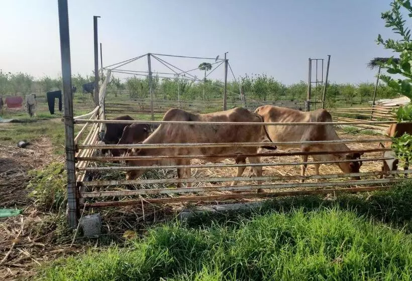 Hotelli Bostan Farm