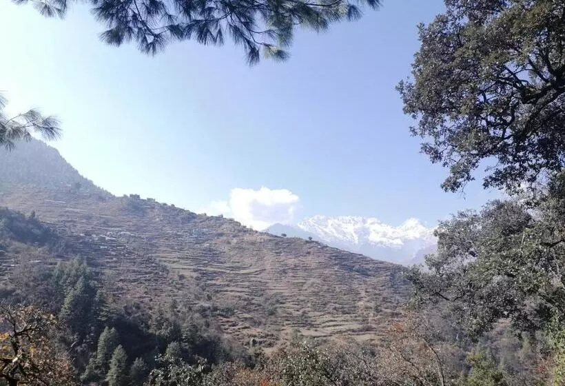 پانسیون Bamboo Lodge