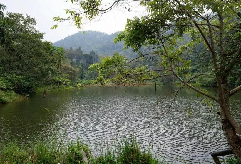 Retkeilymaja Aromisankalp By Jadecaps 5bhk Includes Meals At Chikkamagaluru