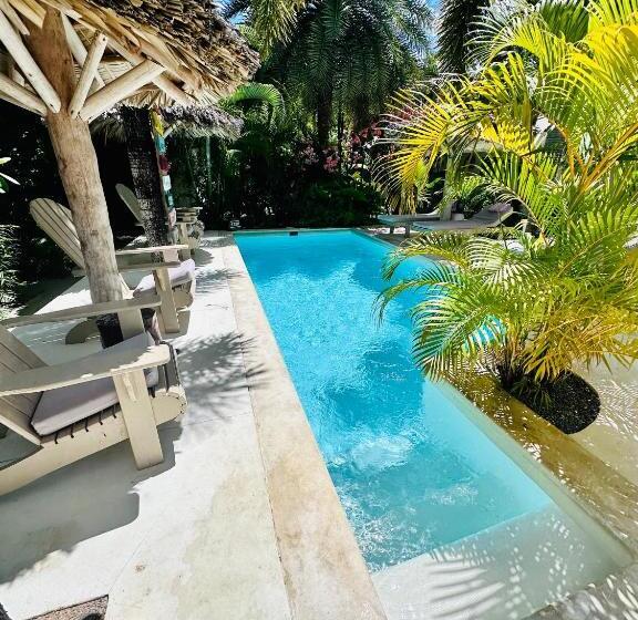 تختخواب و صبحانه Non Disponible