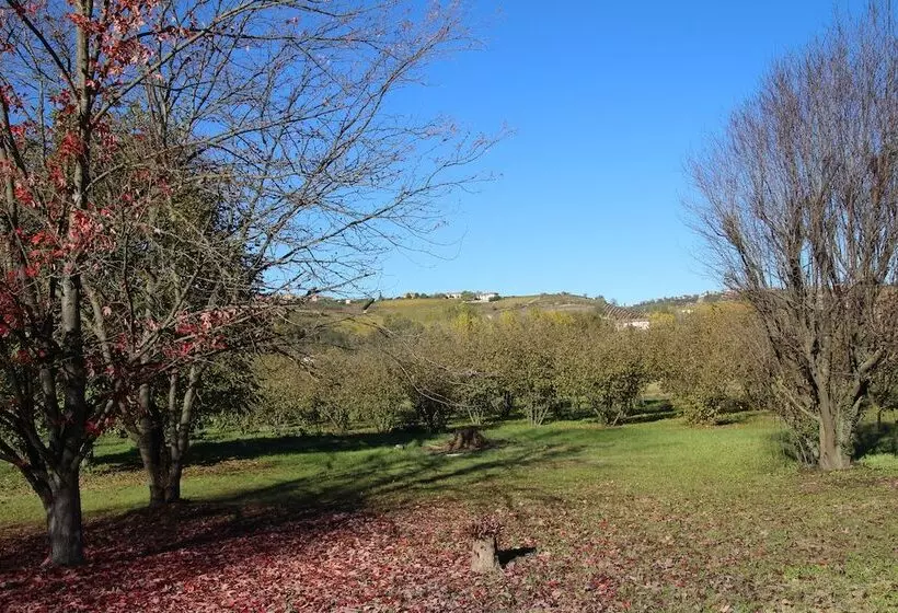 Aamiaismajoitus (B&B) Miravigne House   Casa Di Campagna Con Cucina