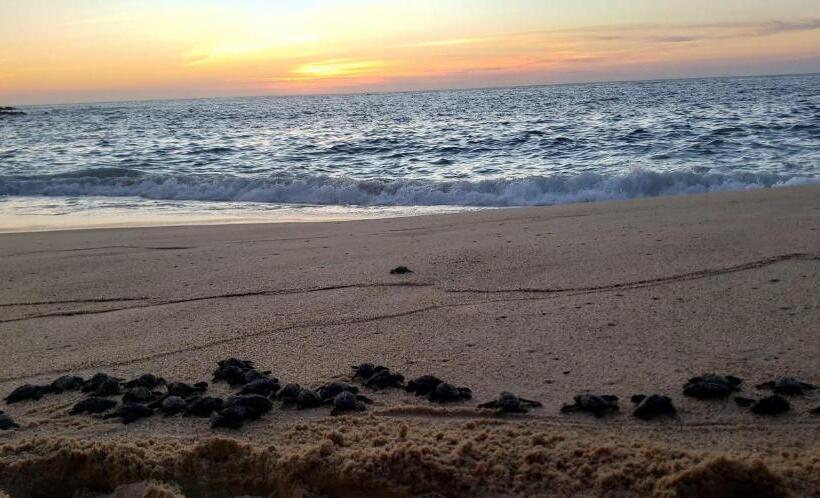 호텔 Ito El Rinconcito Playa Mayto