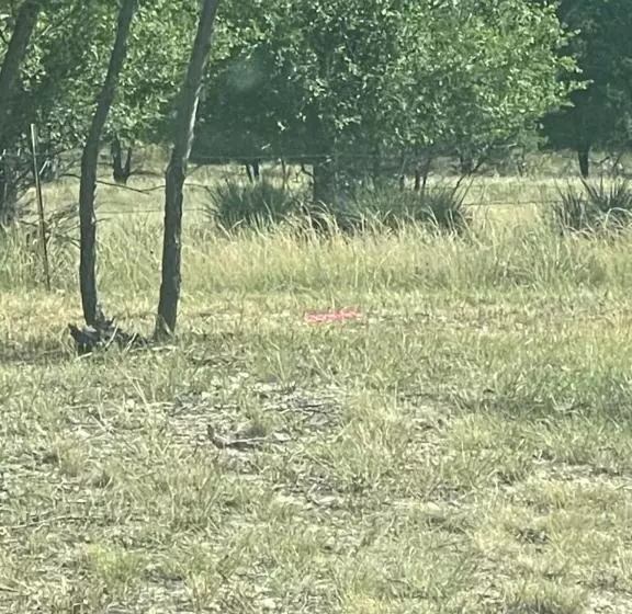 Apt 5   Dorsey At High Plains Lodge