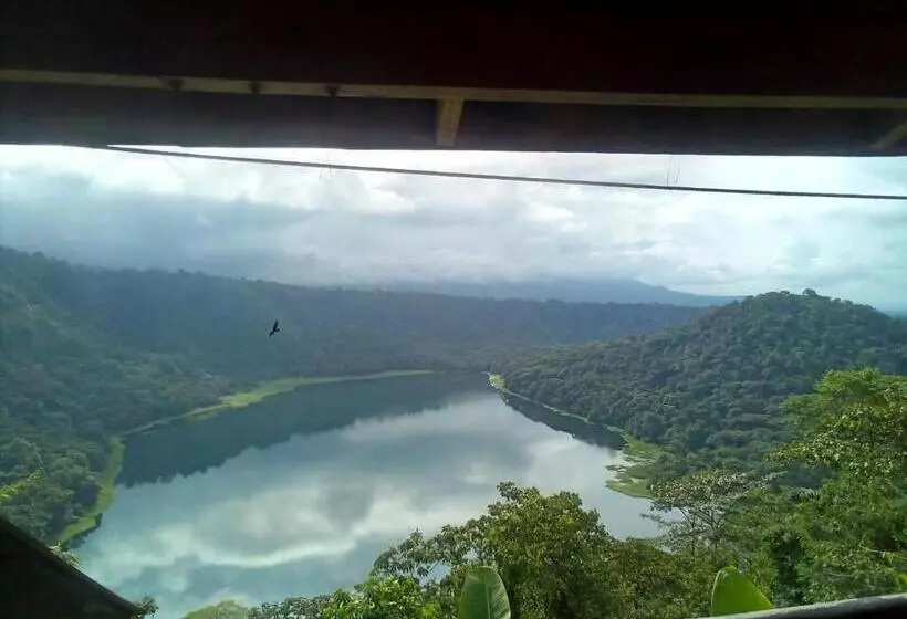 ホテル Restaurante Y Mirador Bosque Alegre