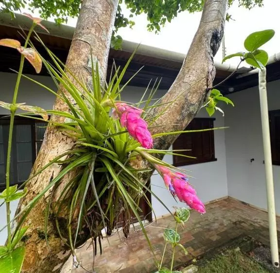 Hotelli Villa Cavaliere