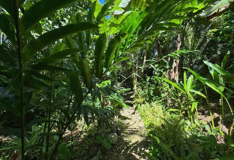 Majatalo Jungle Kingdomes Guest House