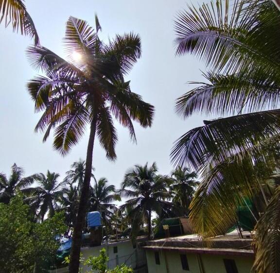 پانسیون The Valley