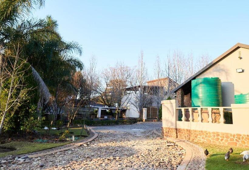 Bed and Breakfast Africa S Best Guesthouse